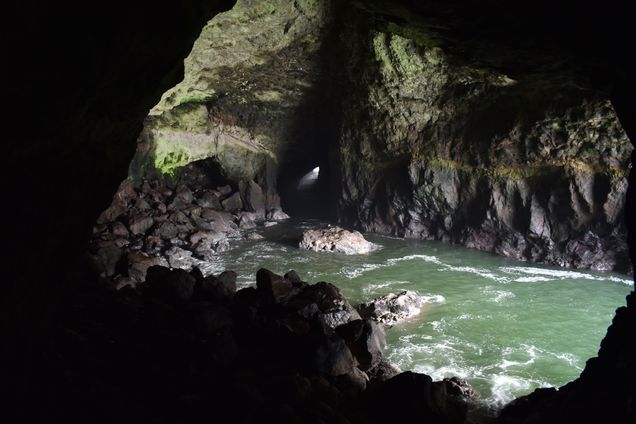 Die Sealion Cave